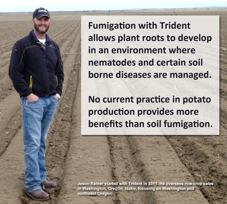 Fumigation with Trident allows plant roots to develop in an environment where nematodes and certain soil borne diseases are managed.   
No current practice in potato production provides more benefits than soil fumigation.