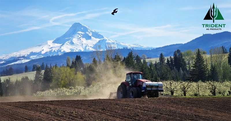 Eagle Soars above Hood River Valley Orchards
