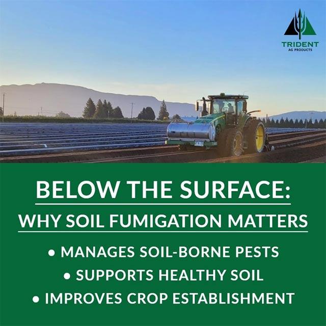 Why Soil Fumigation Matters