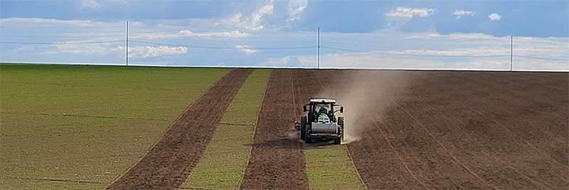 Potatoes | Strike® Fumigation